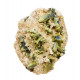 epidote