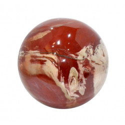 Petrified Wood Sphere