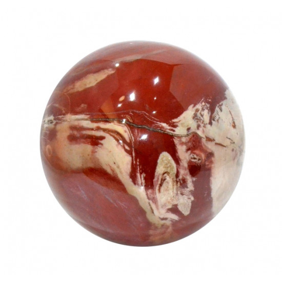 Petrified Wood Sphere