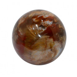 Petrified Wood Sphere