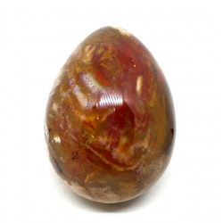 Petrified wood egg