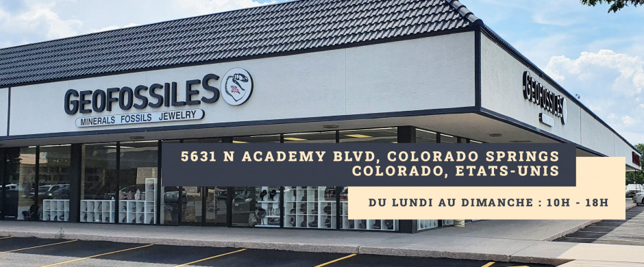 5631 N Academy Blvd, Colorado Springs, Colorado, USA