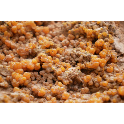 Mimetesite