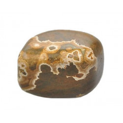 tumbled stone forest jasper
