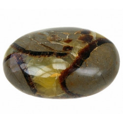 palm stone septarian