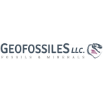 Geofossiles