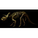 albertoceratops nesmoi (skeleton) albertoceratops nesmoi (skeleton)