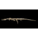 dyrosaurus phosphaticus (squelette) dyrosaurus phosphaticus (squelette)