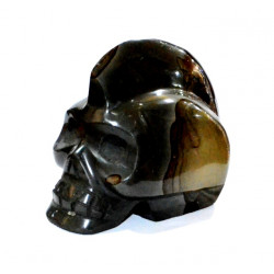 Skull polychrome jasper 