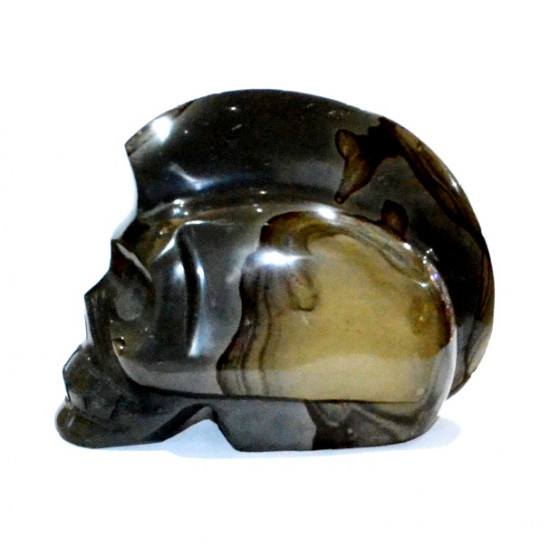 Skull polychrome jasper 