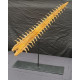 onchopristis numidus (rostrum) 