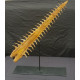 onchopristis numidus (rostrum) 
