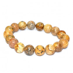 landscape Jasper Bracelet 10mm