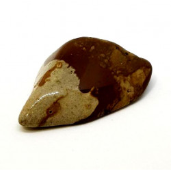 limno-quartzite