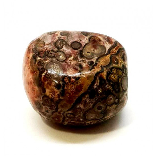 jaspe leopard jaspe leopard