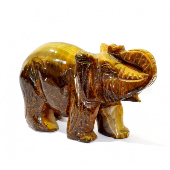 elephant tigers eye