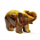 elephant tigers eye