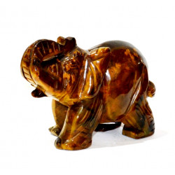 elephant tigers eye