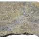 chariocrinus dargniesie