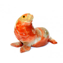 Phoque