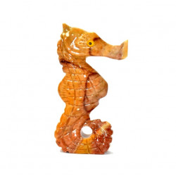 Hippocampe