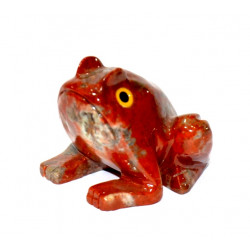 Grenouille stéatite 