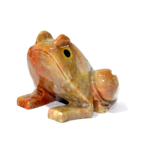 Grenouille stéatite 