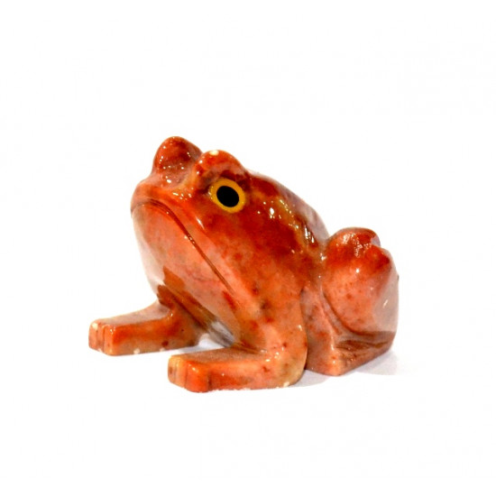 Grenouille stéatite 