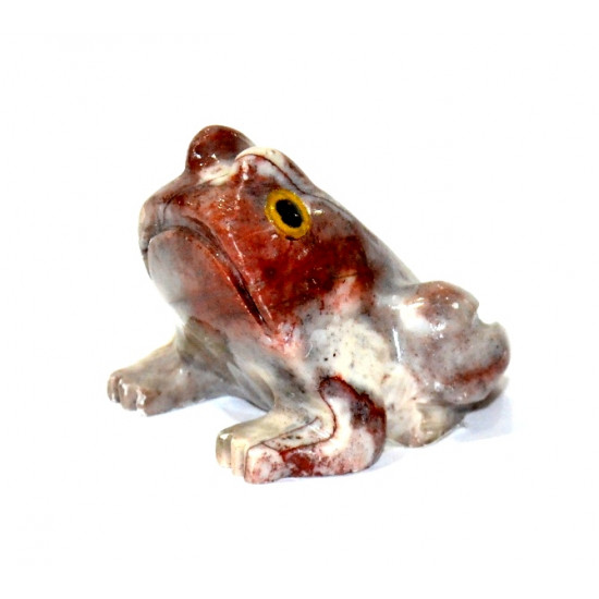 Grenouille stéatite 