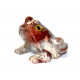 Grenouille stéatite 