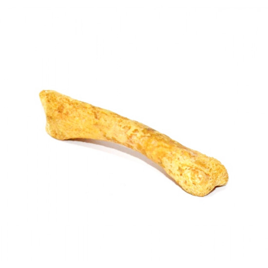 deltadromeus agilis (phalange)