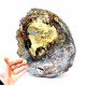 Petrified wood from madagascar 