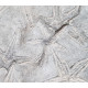astropecten martis and ophidiaster davidsoni plate 31 astropecten martis and ophidiaster davidsoni plate 31
