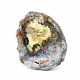 Petrified wood from madagascar 