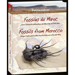 Fossils from Morocco - Volume 1