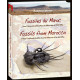 Fossils from Morocco - Volume 1