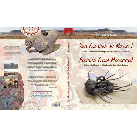 Fossils from Morocco - Volume 1