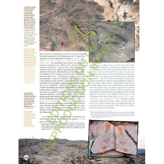Fossils from Morocco - Volume 1