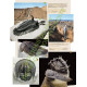 Fossils from Morocco - Volume 1