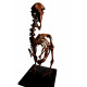 Dodo - Raphus cucullatus
