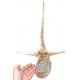 spinosaurus aegypticus (vertebra - 54 cm)
